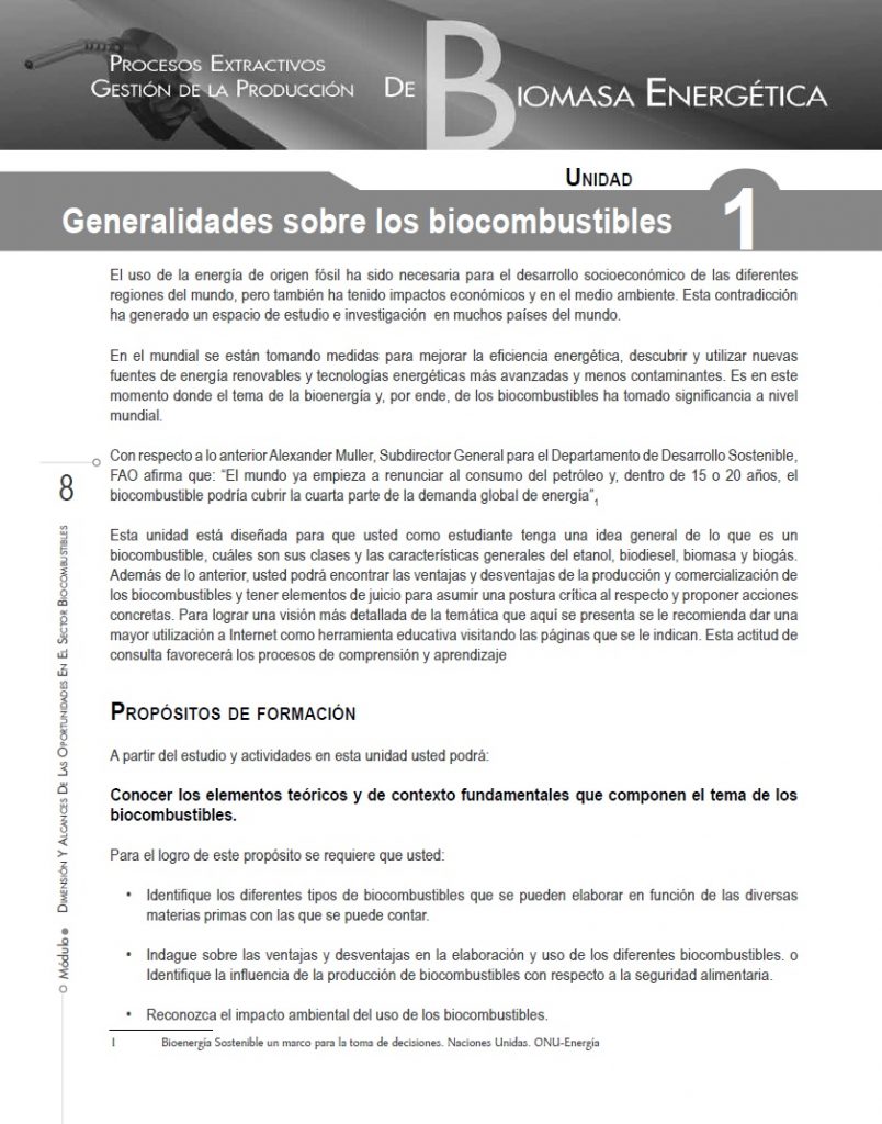 Otros biocombustibles