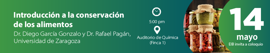 Zaragoza-03