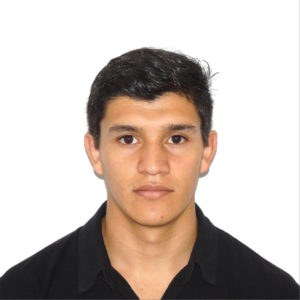 Ing. Manuel Corrales González