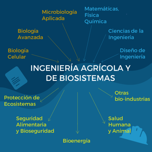 Disciplinas y áreas de acción de Ingeniería Agrícola y de Biosistemas.