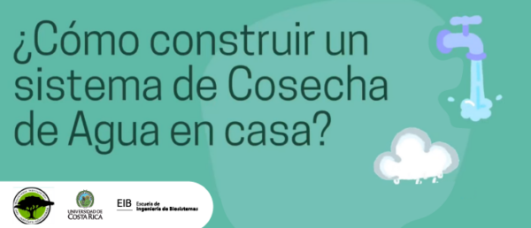 ¿Cómo construir un sistema de cosecha de agua?