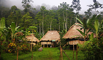 Estudiantes y docentes diseñan y construyen un biodigestor para producir electricidad en un refugio ecoturístico ubicado en Shuabb.